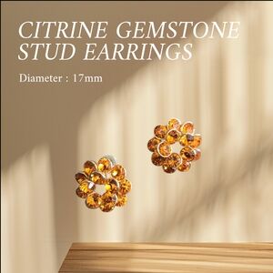 Citrine Gemstone Stud Stainless Steel Earrings